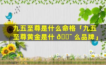 九五至尊是什么命格「九五至尊黄金是什 🐯 么品牌」